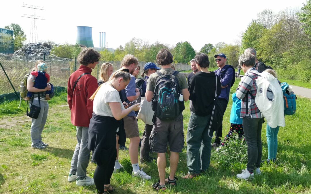 Wildbienenspaziergang entlang des Lockwitzbachs in Laubegast